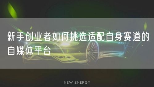 新手创业者如何挑选适配自身赛道的自媒体平台