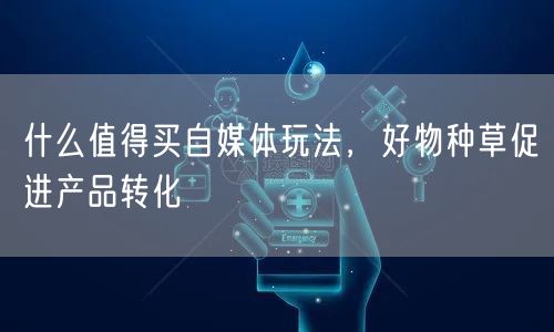 什么值得买自媒体玩法，好物种草促进产品转化