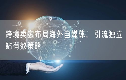 跨境卖家布局海外自媒体，引流独立站有效策略