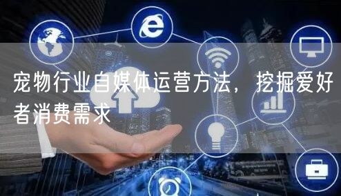 宠物行业自媒体运营方法，挖掘爱好者消费需求