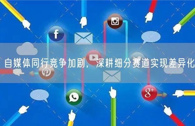 自媒体同行竞争加剧，深耕细分赛道实现差异化