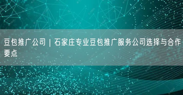 豆包推广公司｜石家庄专业豆包推广服务公司选择与合作要点