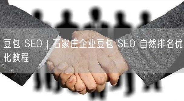 豆包 SEO｜石家庄企业豆包 SEO 自然排名优化教程