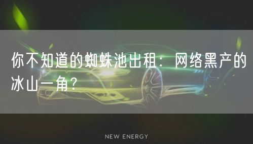 你不知道的蜘蛛池出租：网络黑产的冰山一角？