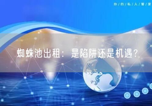 蜘蛛池出租：是陷阱还是机遇？
