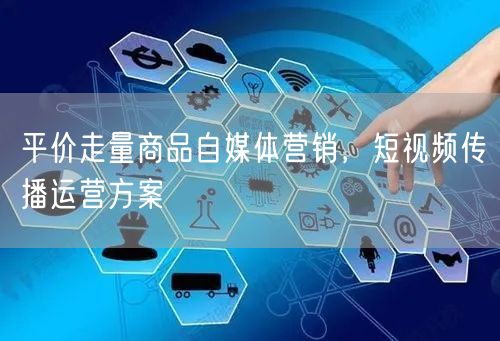 平价走量商品自媒体营销，短视频传播运营方案