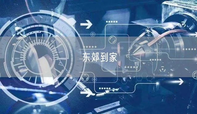 东郊到家