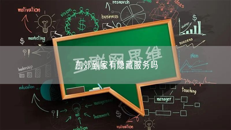 东郊到家有隐藏服务吗
