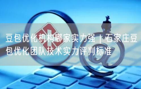 豆包优化机构哪家实力强｜石家庄豆包优化团队技术实力评判标准
