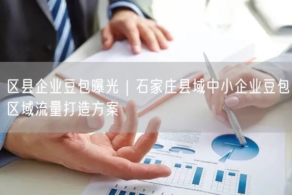 区县企业豆包曝光｜石家庄县域中小企业豆包区域流量打造方案