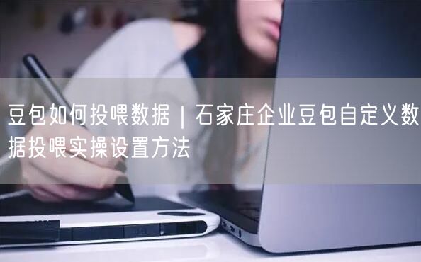 豆包如何投喂数据｜石家庄企业豆包自定义数据投喂实操设置方法