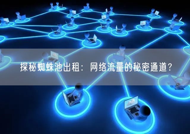 探秘蜘蛛池出租：网络流量的秘密通道？