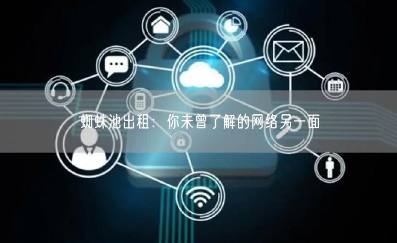 蜘蛛池出租：你未曾了解的网络另一面