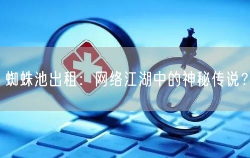 蜘蛛池出租：网络江湖中的神秘传说？