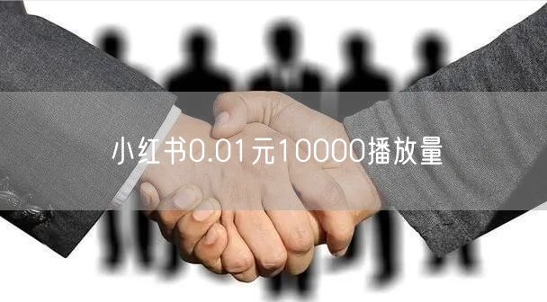 小红书0.01元10000播放量