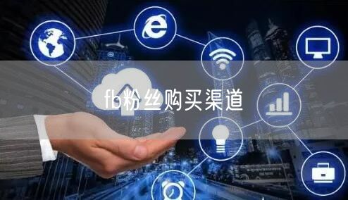 fb粉丝购买渠道