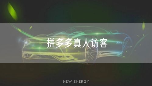 拼多多真人访客