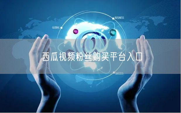 西瓜视频粉丝购买平台入口