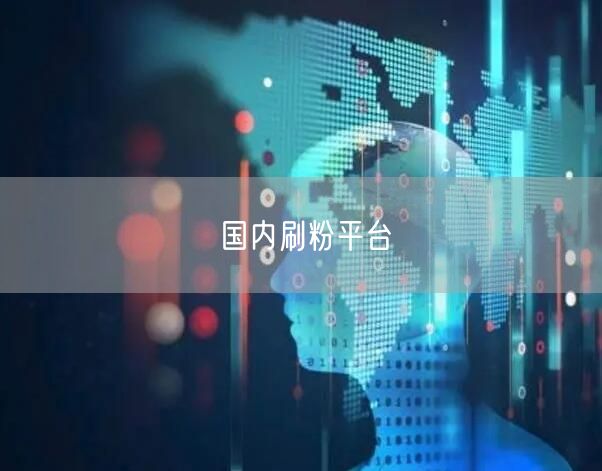 国内刷粉平台