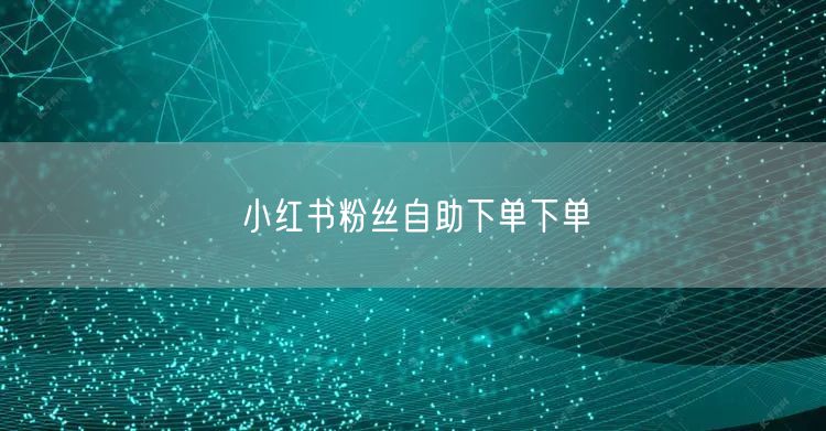 小红书粉丝自助下单下单