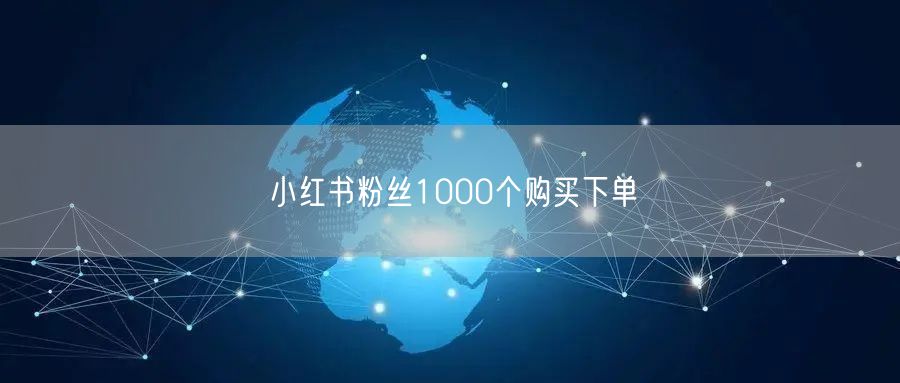 小红书粉丝1000个购买下单