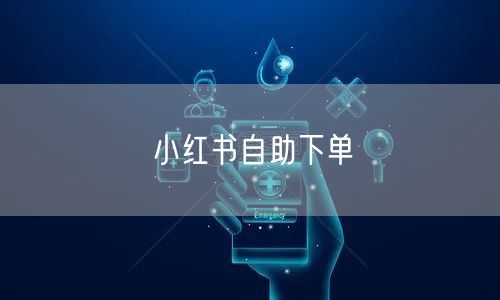 小红书自助下单