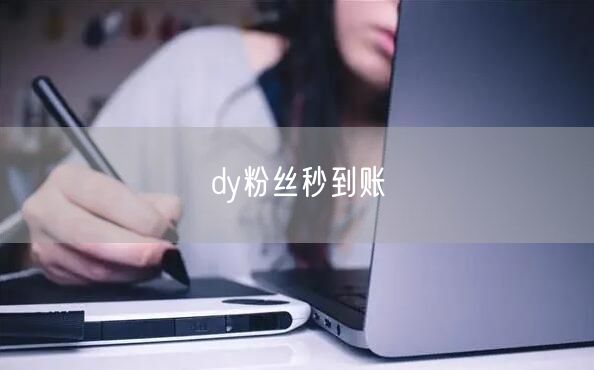 dy粉丝秒到账