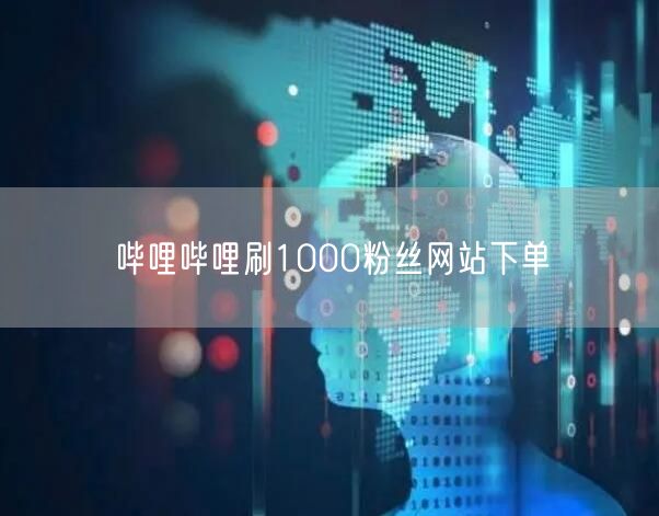 哔哩哔哩刷1000粉丝网站下单