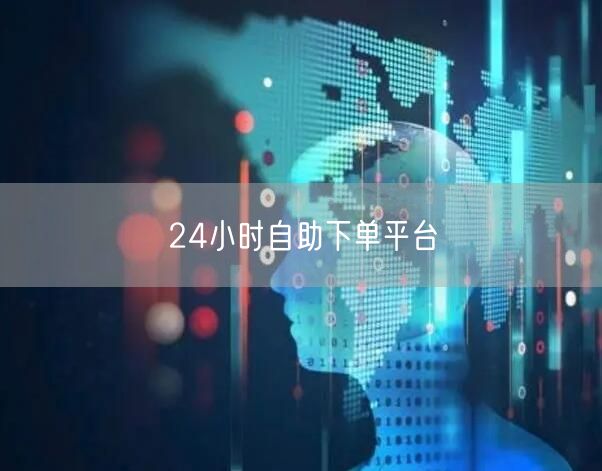 24小时自助下单平台
