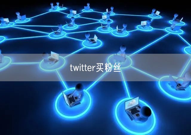 twitter买粉丝