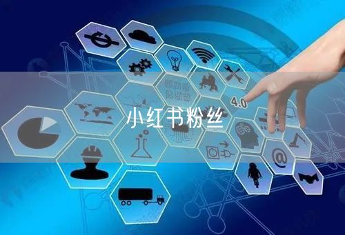 小红书粉丝
