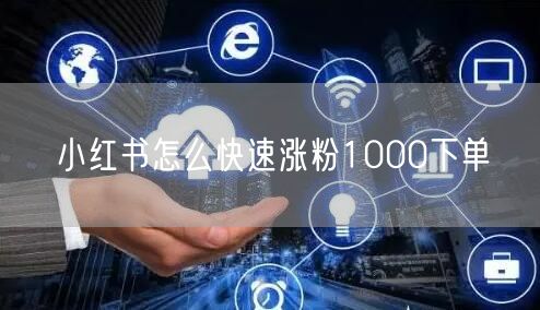 小红书怎么快速涨粉1000下单