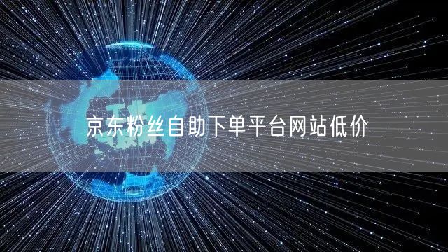 京东粉丝自助下单平台网站低价