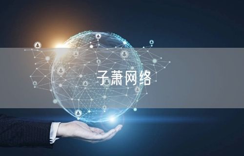子萧网络