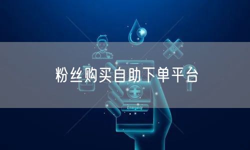粉丝购买自助下单平台