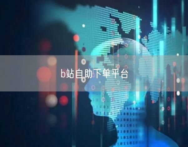 b站自助下单平台