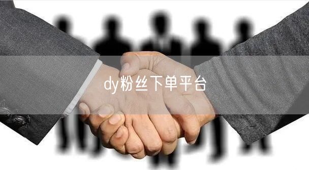 dy粉丝下单平台