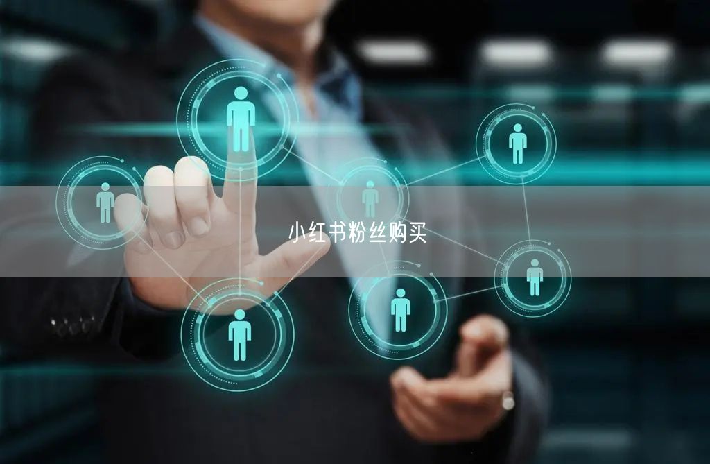 小红书粉丝购买