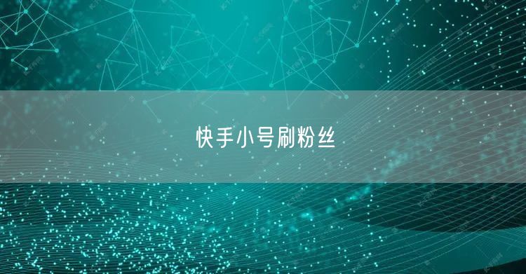 快手小号刷粉丝