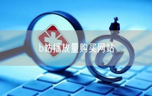 b站播放量购买网站