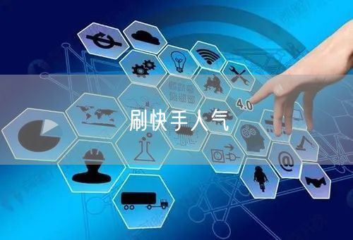 刷快手人气