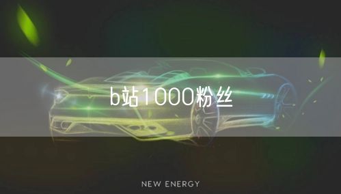 b站1000粉丝