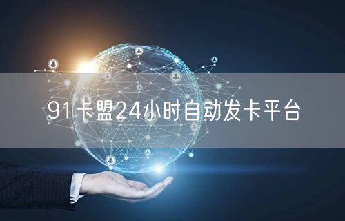 91卡盟24小时自动发卡平台