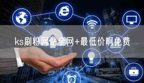 ks刷粉网站全网+最低价啊免费