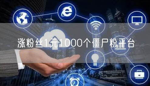 涨粉丝1元1000个僵尸粉平台