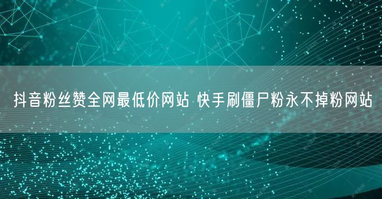 抖音粉丝赞全网最低价网站 快手刷僵尸粉永不掉粉网站