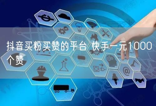 抖音买粉买赞的平台 快手一元1000个赞