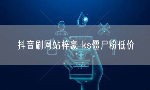 抖音刷网站梓豪 ks僵尸粉低价