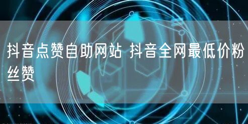 抖音点赞自助网站 抖音全网最低价粉丝赞