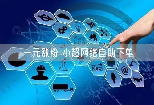 一元涨粉 小超网络自助下单